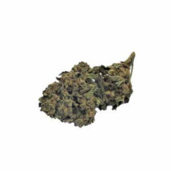 fruit cake cbd als cbd ariège