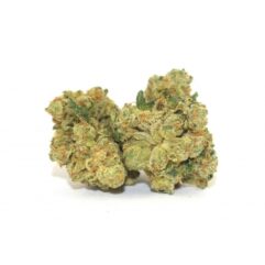 amnesia cbd alscbd ariege