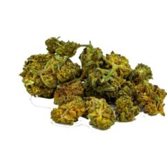 cannatonic mini buds als cbd ariège