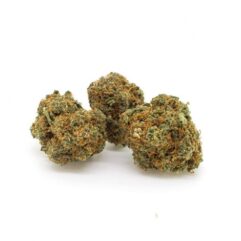 ak 47 cbd alscbd ariège