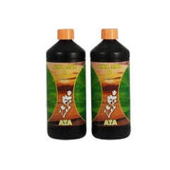 ata awa max A&B atami alscbd ariege