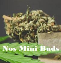 Mini buds CBD